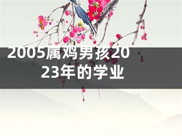 2005属鸡男孩2023年的学业