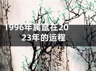 1996年属鼠在2023年的运程