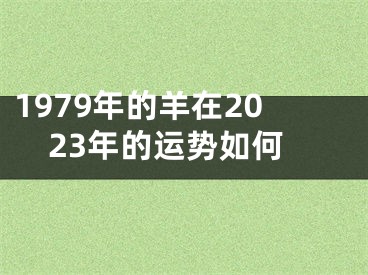 1979年的羊在2023年的运势如何