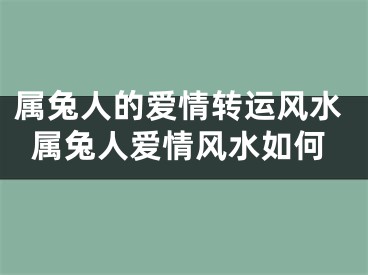属兔人的爱情转运风水属兔人爱情风水如何