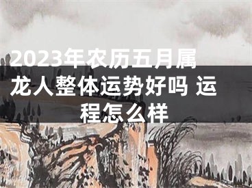 2023年农历五月属龙人整体运势好吗 运程怎么样