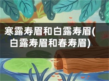 寒露寿眉和白露寿眉(白露寿眉和春寿眉)