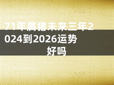 71年属猪未来三年2024到2026运势好吗