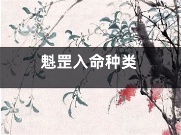 魁罡入命种类