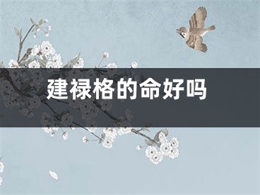 建禄格的命好吗