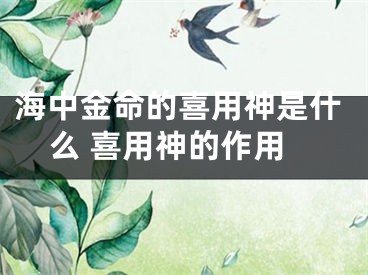 海中金命的喜用神是什么 喜用神的作用