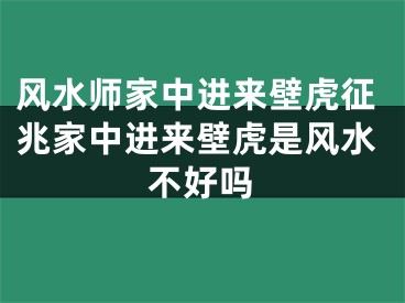 风水师家中进来壁虎征兆家中进来壁虎是风水不好吗