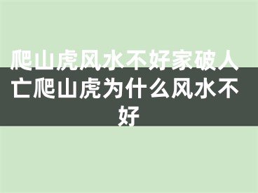 爬山虎风水不好家破人亡爬山虎为什么风水不好