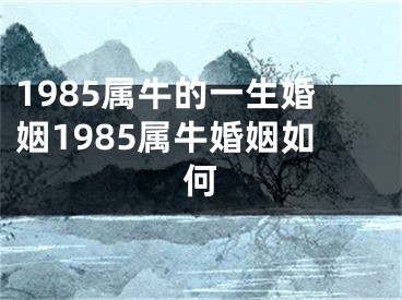 1985属牛的一生婚姻1985属牛婚姻如何