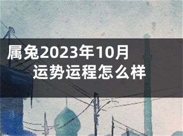 属兔2023年10月运势运程怎么样