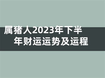 属猪人2023年下半年财运运势及运程