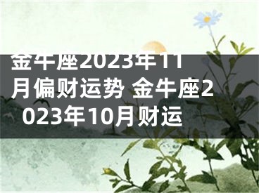 金牛座2023年11月偏财运势 金牛座2023年10月财运