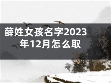薛姓女孩名字2023年12月怎么取