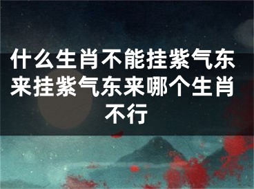 什么生肖不能挂紫气东来挂紫气东来哪个生肖不行