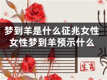 梦到羊是什么征兆女性女性梦到羊预示什么