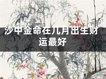 沙中金命在几月出生财运最好