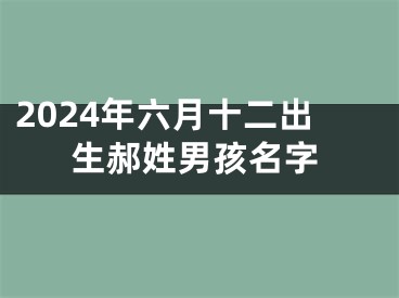 2024年六月十二出生郝姓男孩名字