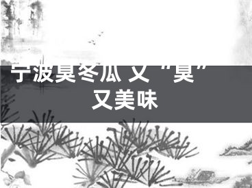 宁波臭冬瓜 又“臭”又美味