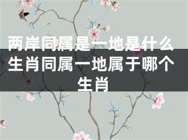 两岸同属是一地是什么生肖同属一地属于哪个生肖