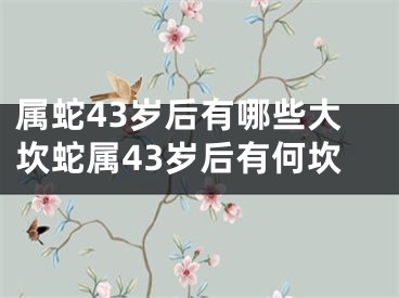 属蛇43岁后有哪些大坎蛇属43岁后有何坎