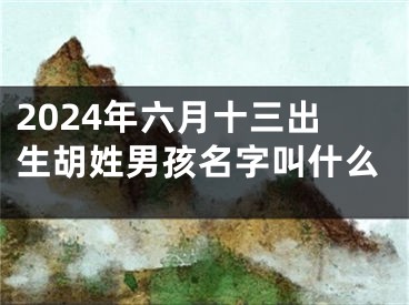 2024年六月十三出生胡姓男孩名字叫什么