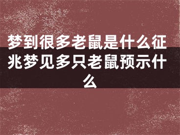 梦到很多老鼠是什么征兆梦见多只老鼠预示什么