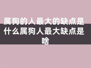 属狗的人最大的缺点是什么属狗人最大缺点是啥
