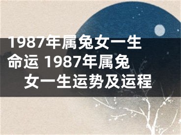 1987年属兔女一生命运 1987年属兔女一生运势及运程