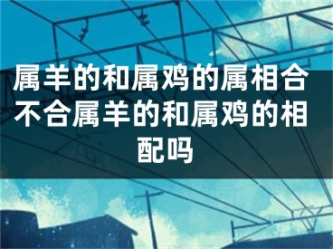 属羊的和属鸡的属相合不合属羊的和属鸡的相配吗