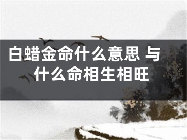 白蜡金命什么意思 与什么命相生相旺
