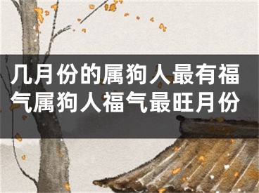 几月份的属狗人最有福气属狗人福气最旺月份