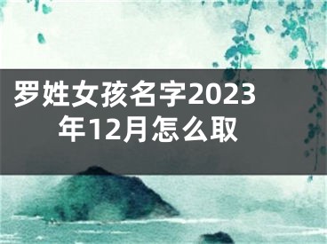罗姓女孩名字2023年12月怎么取