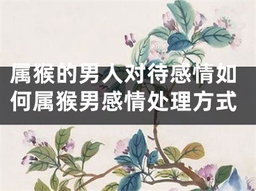 属猴的男人对待感情如何属猴男感情处理方式