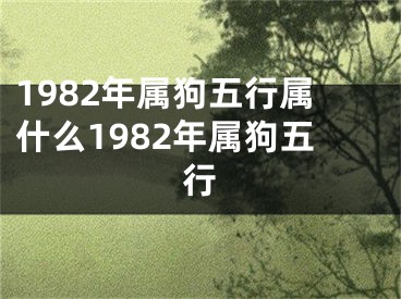 1982年属狗五行属什么1982年属狗五行