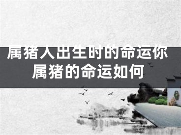 属猪人出生时的命运你属猪的命运如何