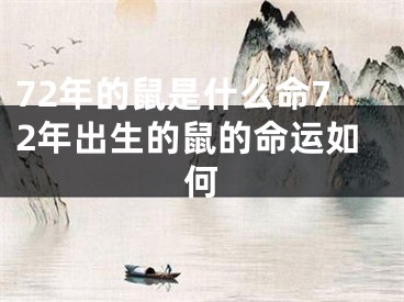 72年的鼠是什么命72年出生的鼠的命运如何