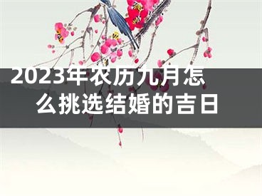 2023年农历九月怎么挑选结婚的吉日