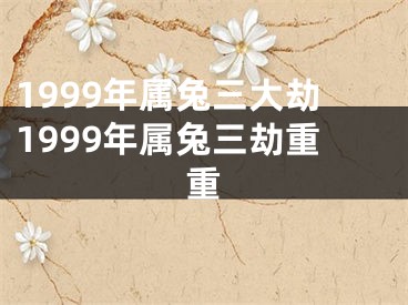 1999年属兔三大劫1999年属兔三劫重重