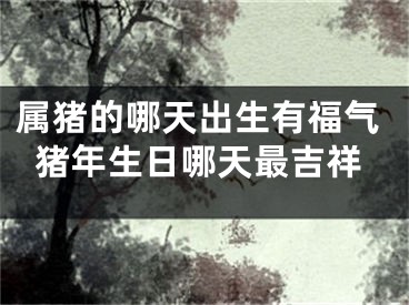 属猪的哪天出生有福气猪年生日哪天最吉祥