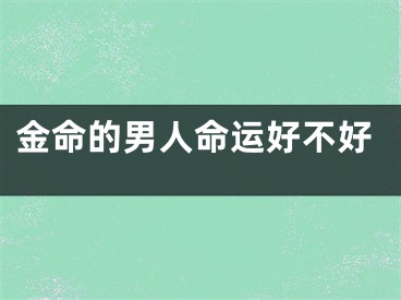 金命的男人命运好不好