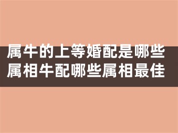 属牛的上等婚配是哪些属相牛配哪些属相最佳