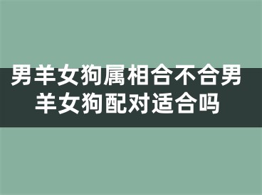 男羊女狗属相合不合男羊女狗配对适合吗