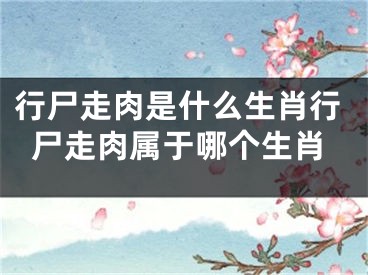行尸走肉是什么生肖行尸走肉属于哪个生肖