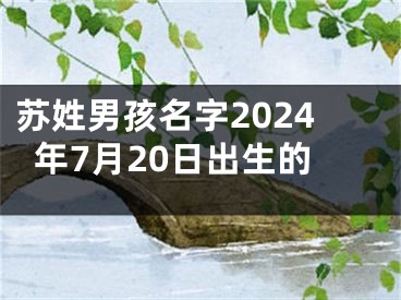 苏姓男孩名字2024年7月20日出生的