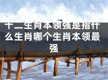 十二生肖本领强是指什么生肖哪个生肖本领最强