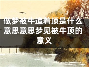 做梦被牛追着顶是什么意思意思梦见被牛顶的意义