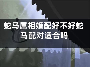蛇马属相婚配好不好蛇马配对适合吗