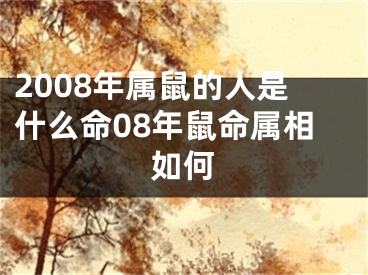 2008年属鼠的人是什么命08年鼠命属相如何