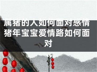 属猪的人如何面对感情猪年宝宝爱情路如何面对