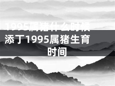 1995属猪什么时候添丁1995属猪生育时间